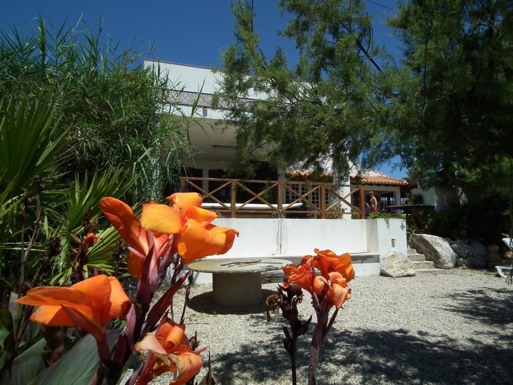 Da Silva Surfcamp Albergue Areia Branca Exterior foto